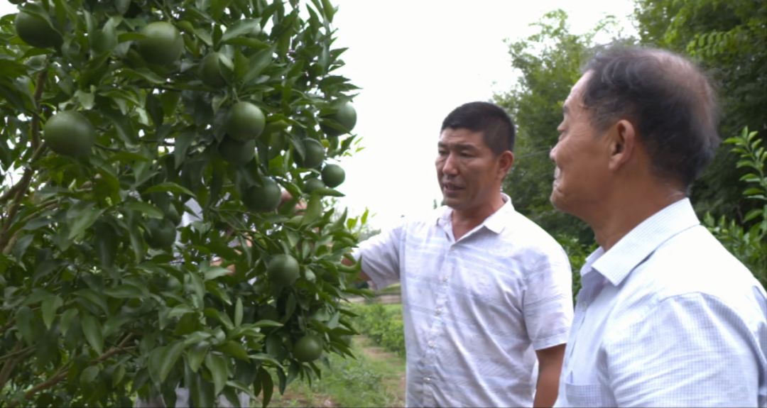 胡江產業興旺奮進者脫貧致富跳蹬石