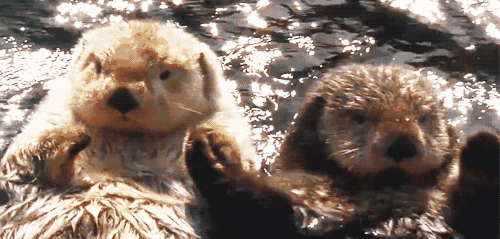 500_239gif 动态图 动图