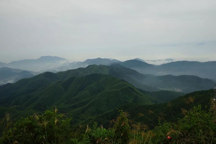 今天重阳10000人登广宁石马山