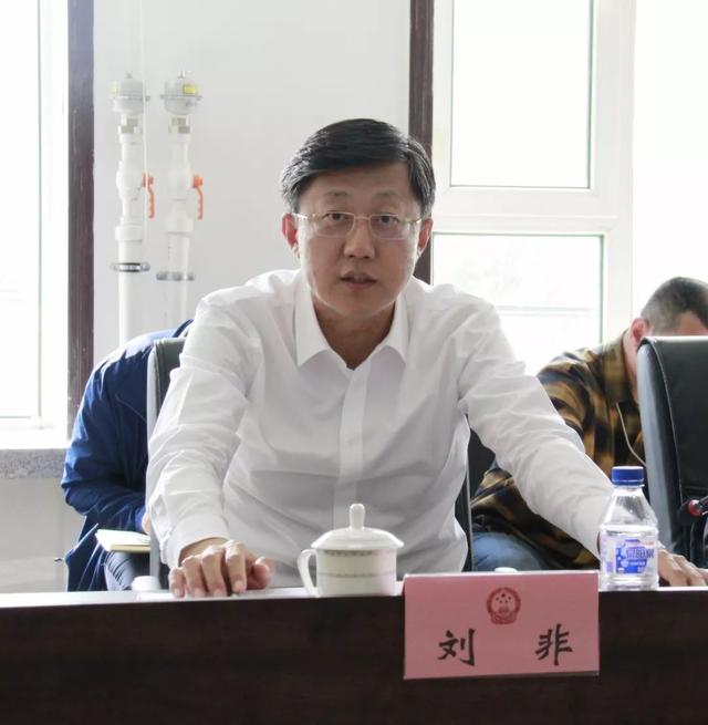 聚焦市长刘非调研东市商贸区改造升级项目