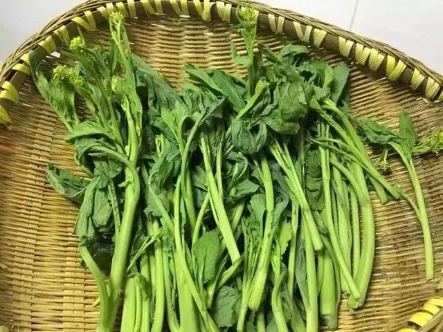 冲鼻菜这种菜,看了还想吃吗?_冲菜