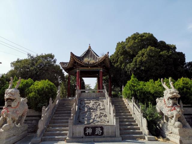 安阳"孔子手植柏"--中国最古老的"三合柏"_曲沟镇