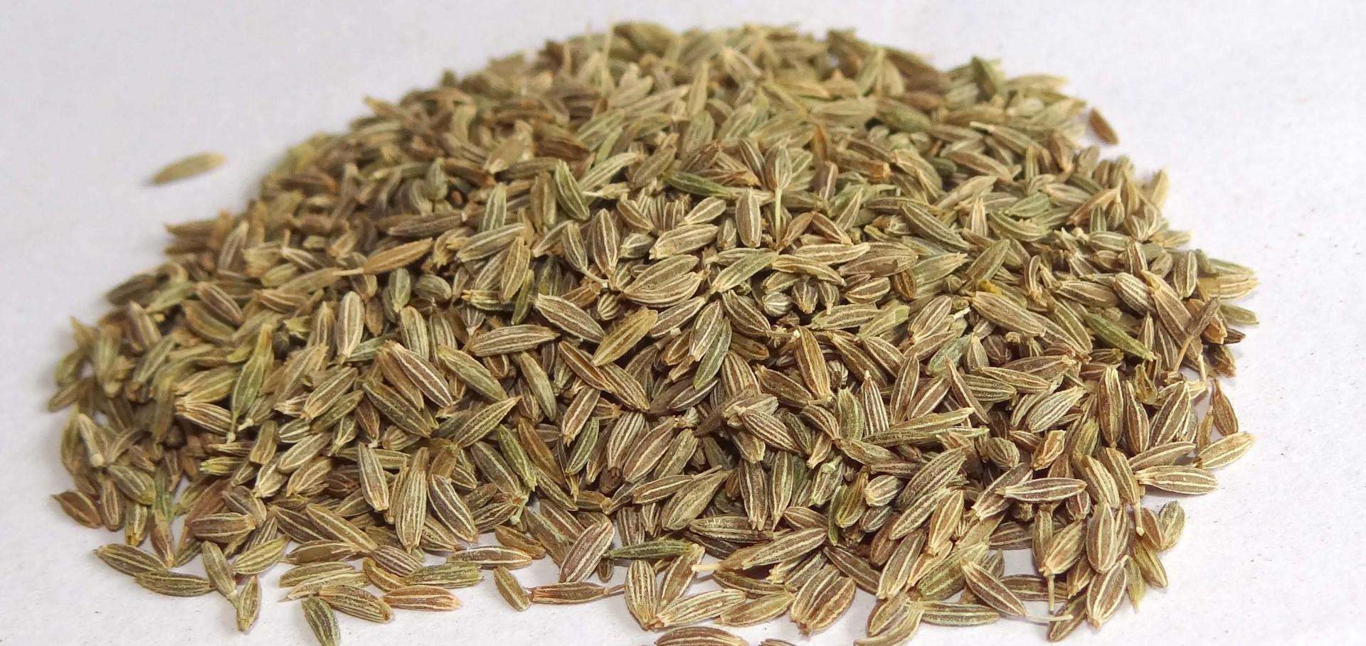 原创洋茴香和安息茴香什么鬼?只会用大小茴香的卤菜人算不上组方高手