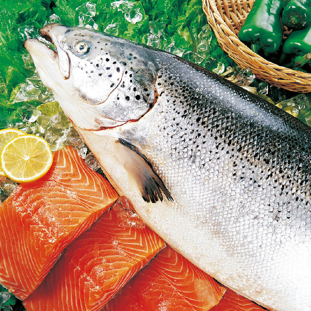 广州铭亿食品国庆假期吃三文鱼会长胖吗三文鱼的热量高吗