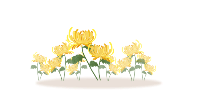 今日寒露|萧疏桐叶上,月白露初团._菊花