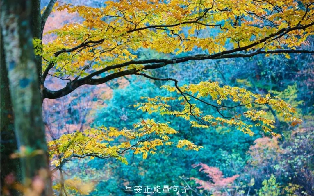 簲ΨͼƬ簲