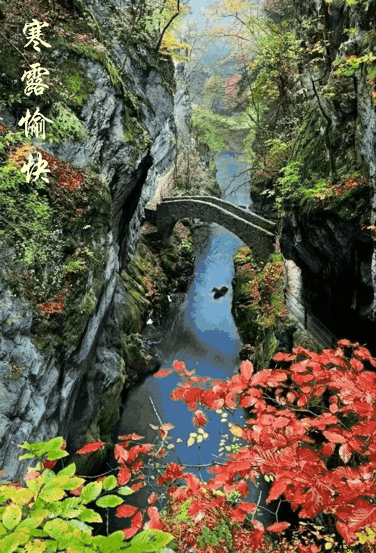 540_794竖版 竖屏gif 动态图 动图