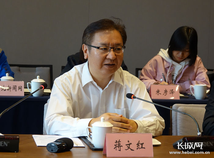 2019中国国际数字经济博览会执委会秘书长蒋文红介绍大会相关情况