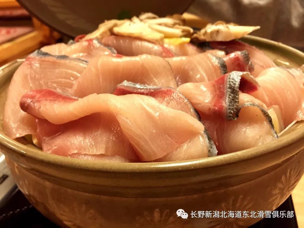日本喉黑鱼和金吉鱼图片