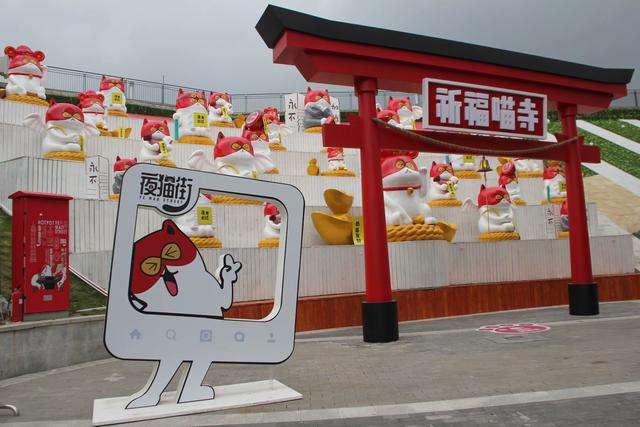 原创重庆一景区现网红"祈福喵寺" 节假日30万市民前来敲钟祈福许愿