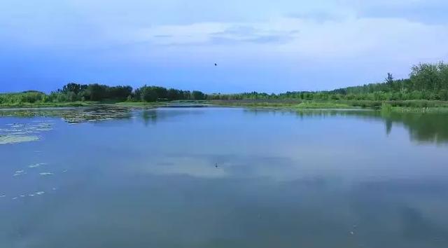 鲁西南这处新晋网红打卡地美到爆