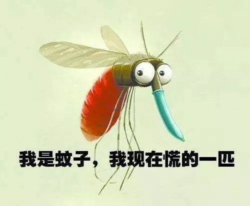 每个密云人深夜都能听到这个声音!最近终于听不到了!_蚊子