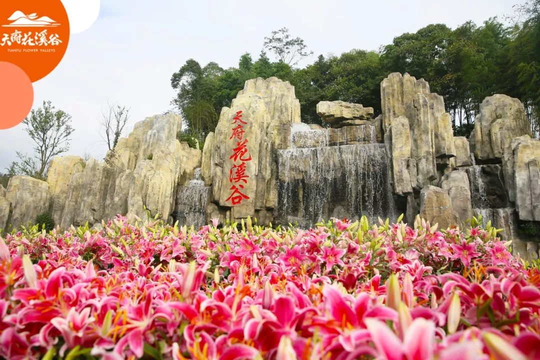 太棒了天府花溪谷門票免費送了數量有限趕快來參與