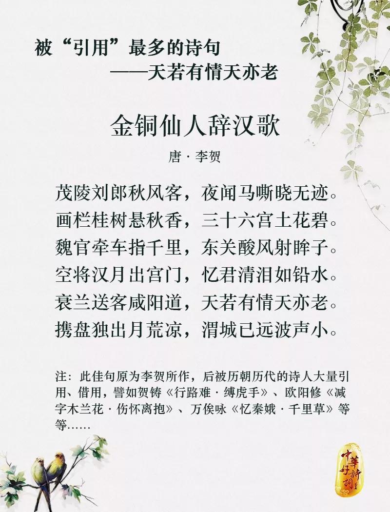 被引用最多的诗句是什么?最短的词是哪一首?这些小秘密你知道多少?