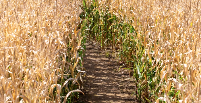 打造家电市场“明星爆款”,厂商要耐住寂寞吃得苦头经受嘲笑-家电圈官网