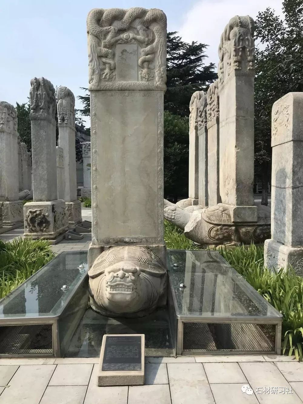 石碑上的动物是什么呢