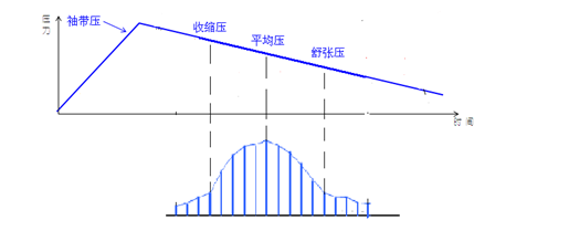 圖2動脈內壓力振幅大小變化趨勢