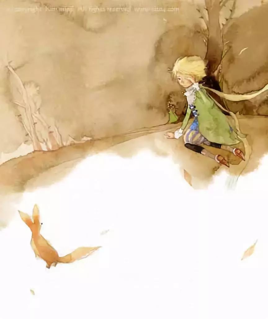 小王子离开的时候,对狐狸说"那么你什么好处也没得到".