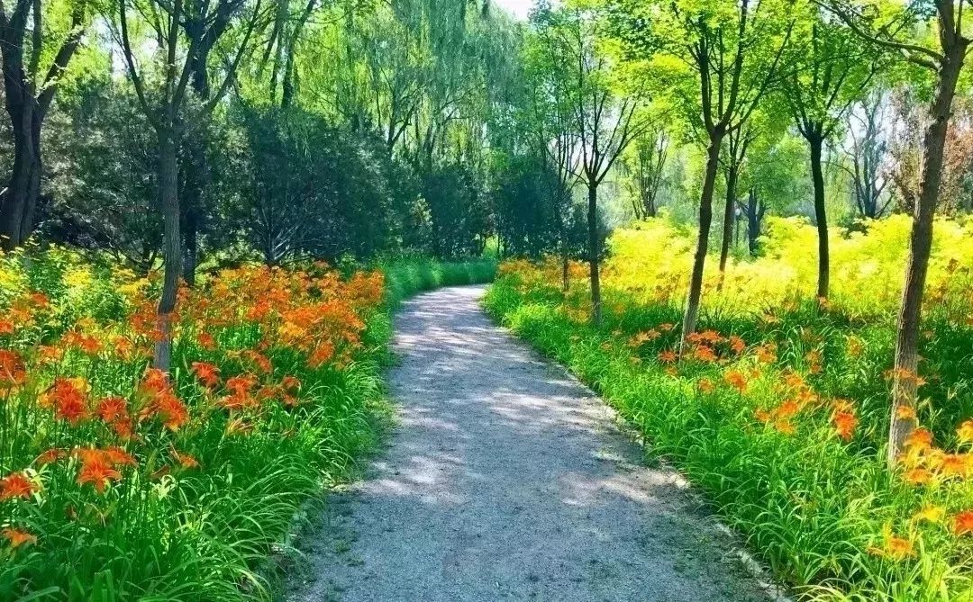 (图源:翠湖国家城市湿地公园id:cuihushidi)