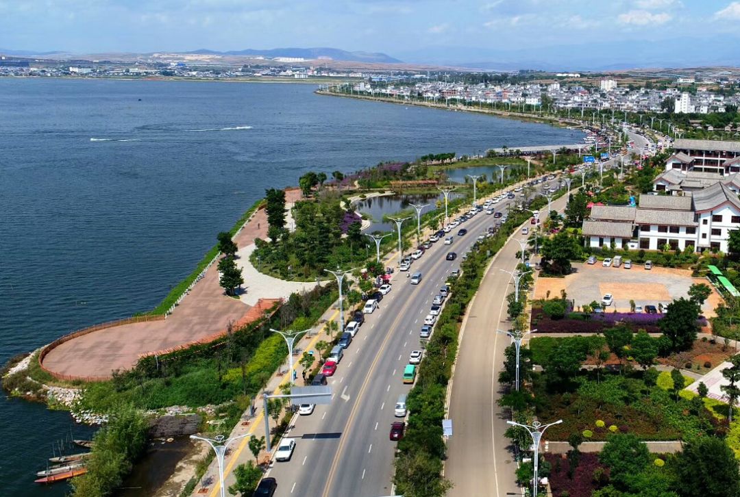 白天的大屯海在阳光的照射下粼粼闪光婀娜多姿的柳丝如同少女洗过的