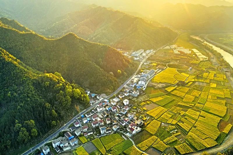 行》 方愛春作品說明:在池州市石臺縣七都鎮新棚村像這樣的彎道有十幾