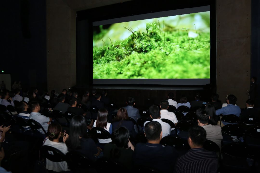 8K，两个冒险孩子之间的合作