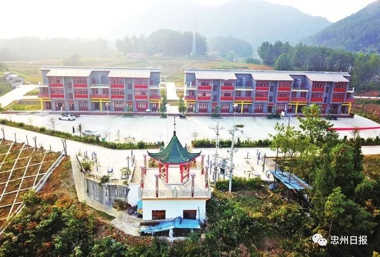 【壮丽70年·奋斗新时代——忠县发展成就巡礼】金鸡镇:路变畅 街变靓