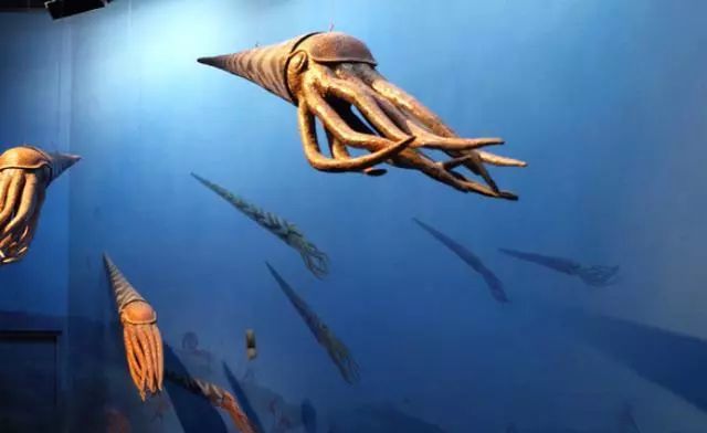 地球上海洋外的5种远古生物