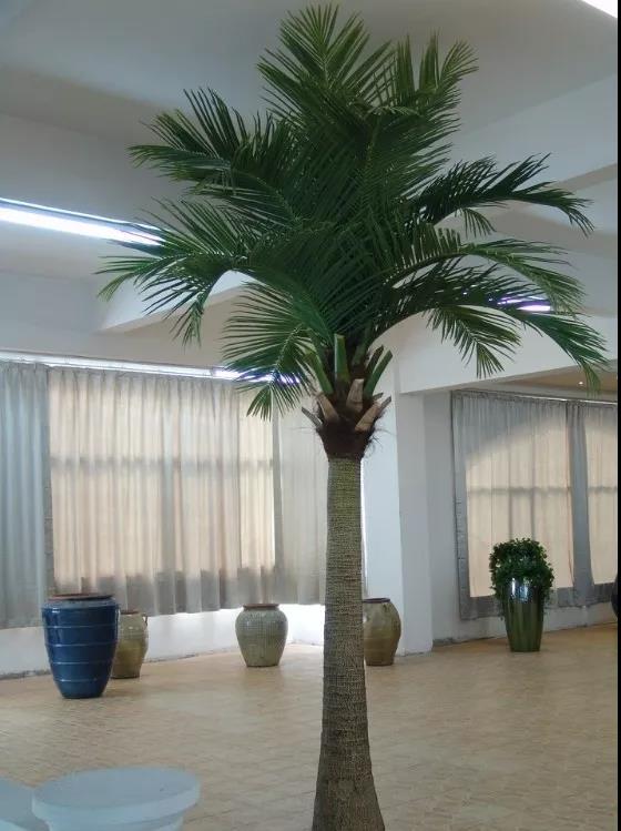 圣杰园林仿真椰子树丨可以种在室内的热带树