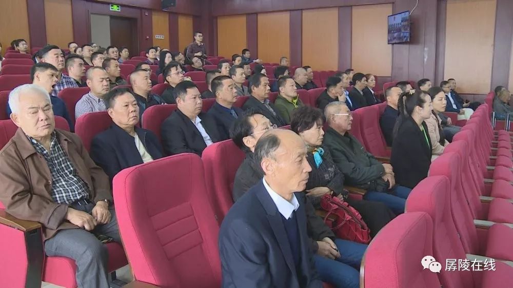 "陈飞"涉黑犯罪案件14名被告公开宣判._公安县