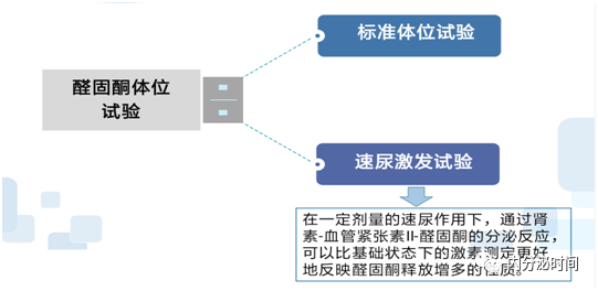 醛固酮體位試驗你做對了嗎