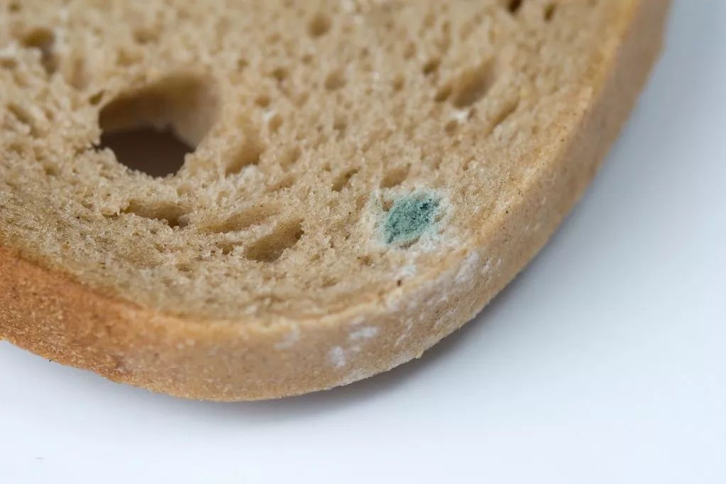 原创霉菌虽然小威力却很大男人感染霉菌的5大危害切莫轻视