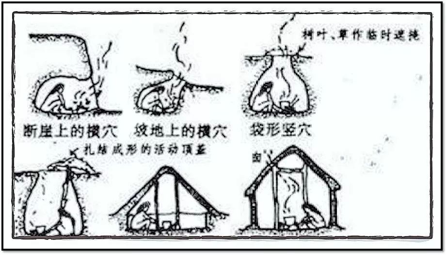 爸爸妈妈大讲堂:房屋的演变_人类