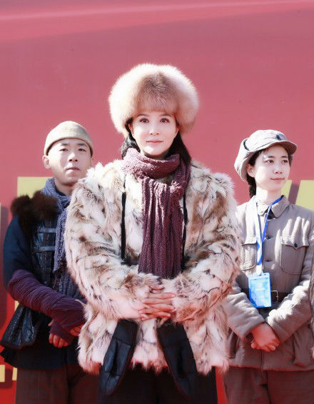 苑本立执导,主要演员有巩峥,陶红,刘楚玄,杨钧丞,赵中华,高郡伟,徐敏