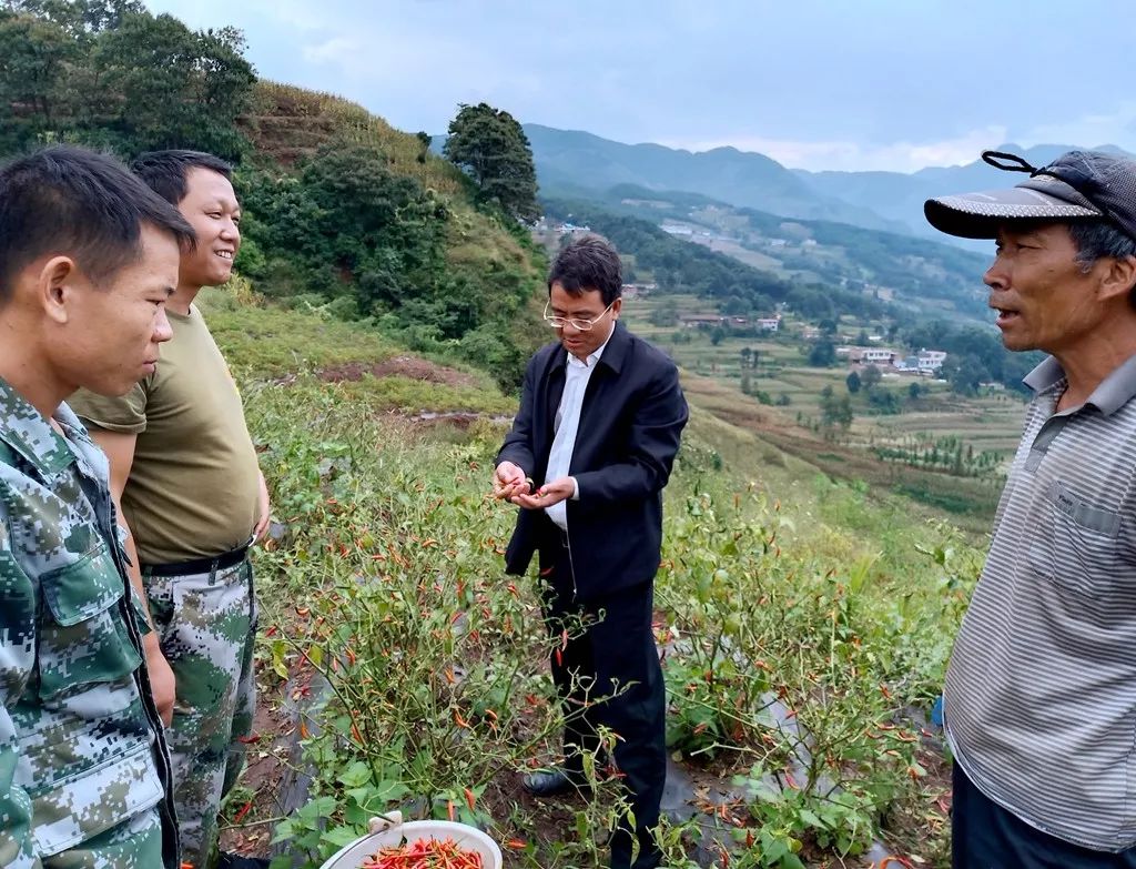 10月5日到6日,宣威市副市长方国营到杨柳镇调研脱贫攻坚和烤烟收购