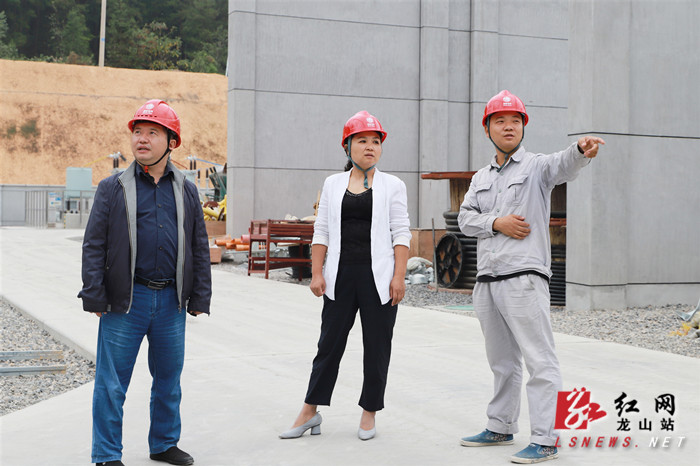 李冬梅调研龙山220千伏输变电工程建设