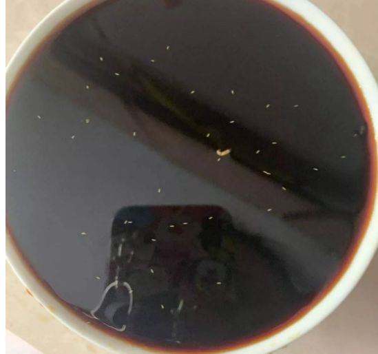 抚州一市民买的海天酱油发现蛆虫._官女士