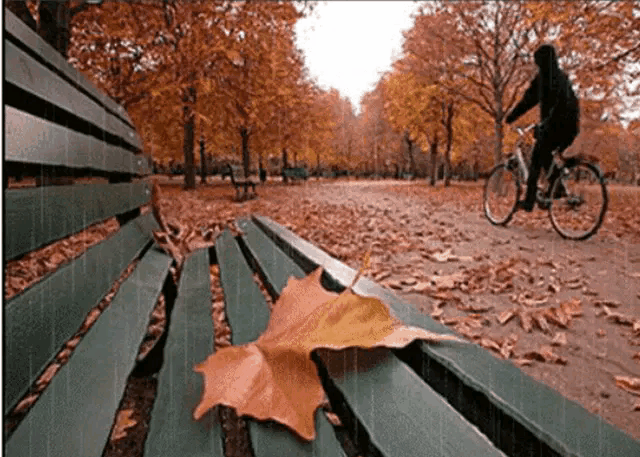 640_457gif 动态图 动图