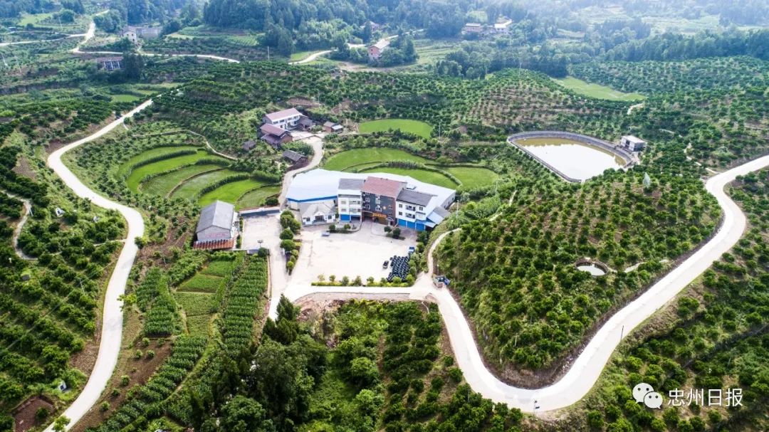 忠县品牌网站建设_(忠县品牌网站建设项目)