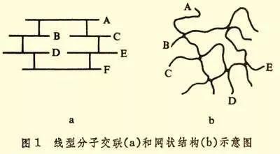 什么是辐照交联技能?