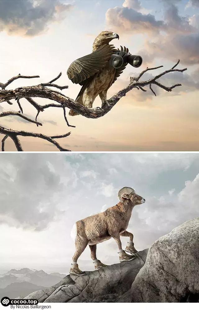 幽默化的图形创意风格!别有风趣