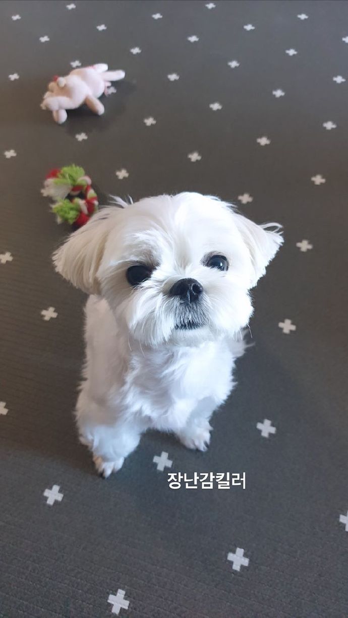 月熊日常替妈妈营业 这个小眼神可怜兮兮的