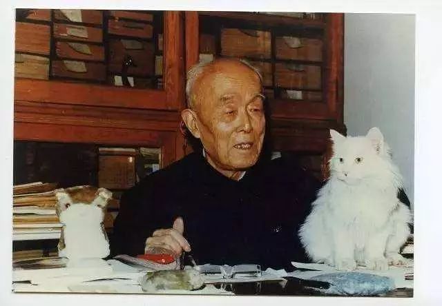 每日赏析 | 季羡林与猫的不解情缘