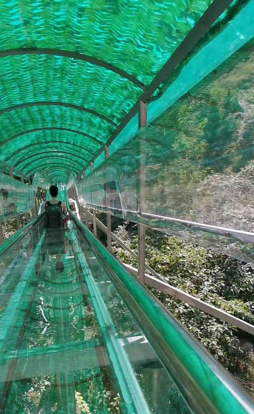 重阳节的青铜山_玻璃