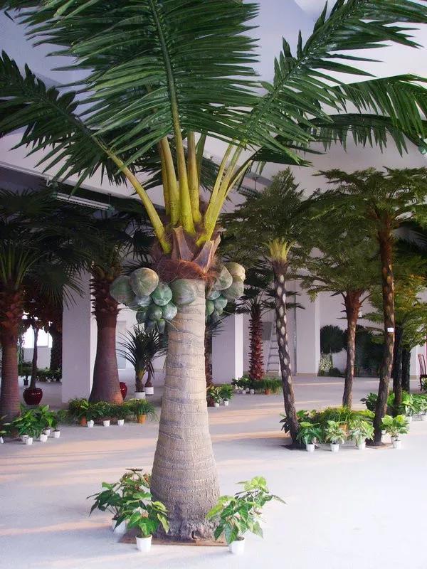 圣杰园林仿真椰子树丨可以种在室内的热带树