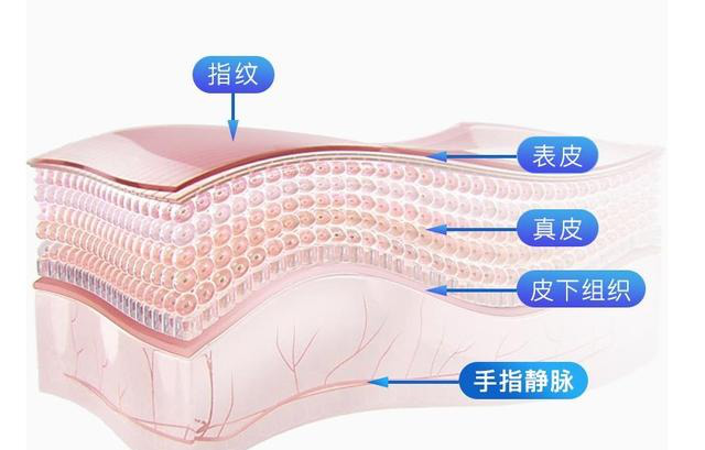 指静脉锁:如何证明"你"就是"你"