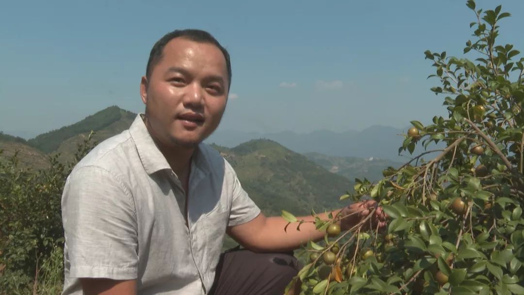 连江蓼沿乡图片