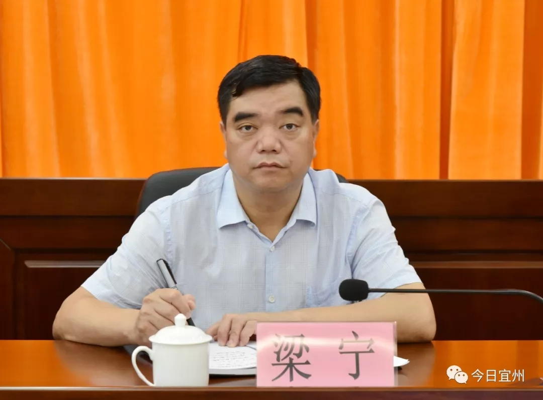 区委副书记,区长梁宁出席会议.