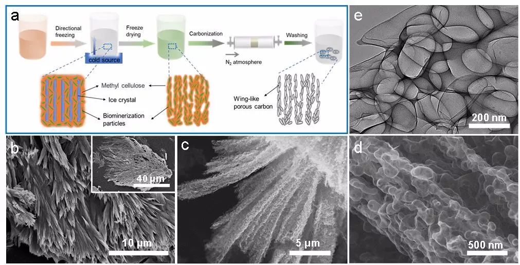 中國海洋大學acs nano: 冷凍條件下生物誘導礦化製備高性能儲鉀多孔碳