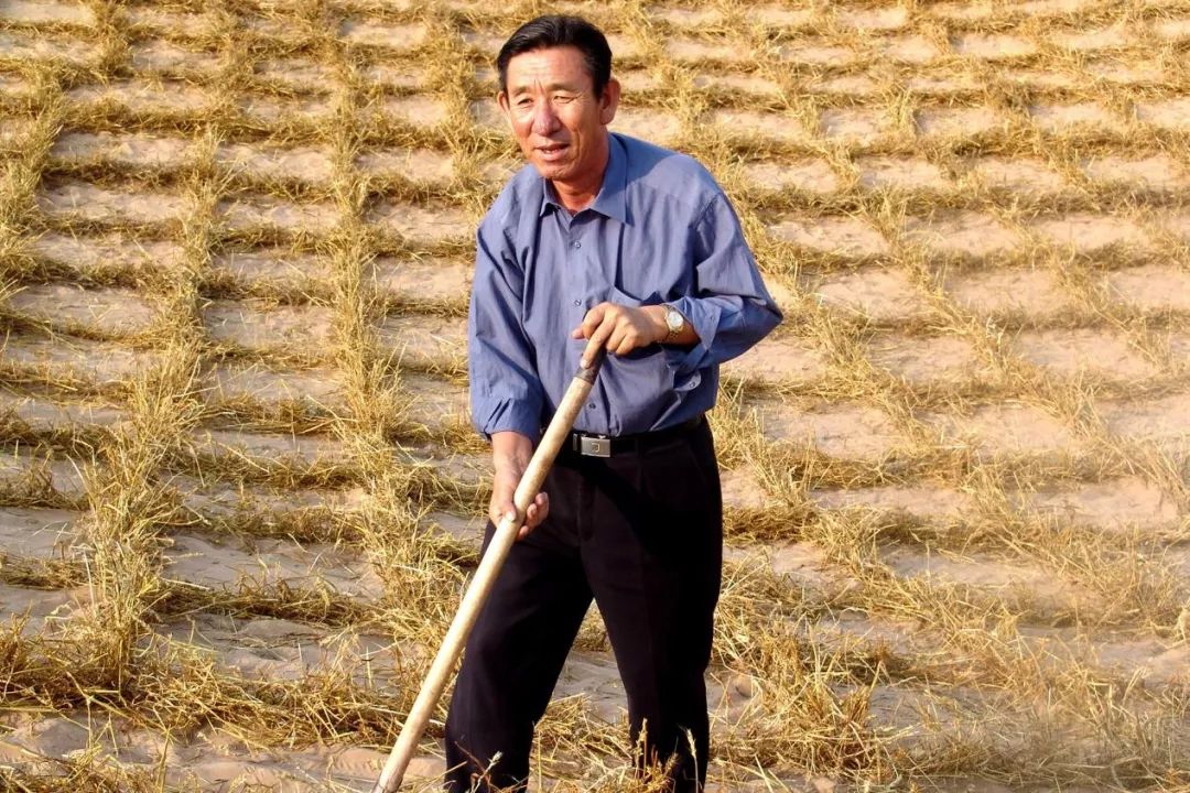 王有德与沙漠斗争到底丨功勋